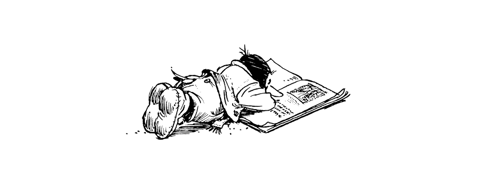 Solan Leser Avis Jpeg Vekta 3 Copy